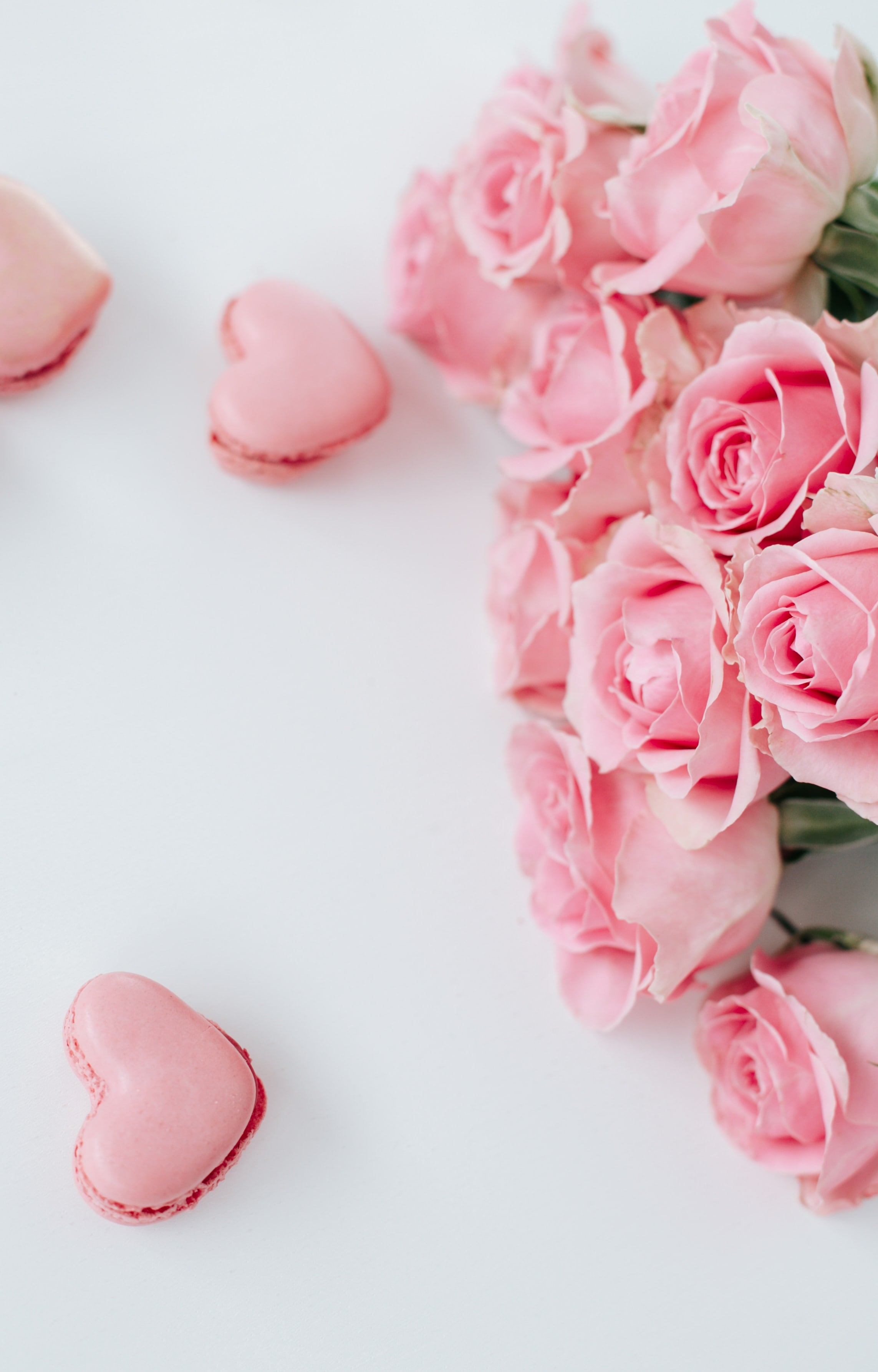 macarons and roses